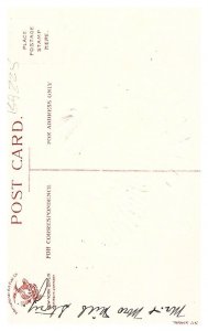 Thanksgiving, Tom Turkey