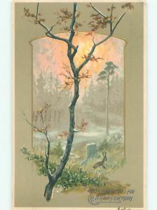 Divided-Back GREAT SCENE Greeting Postcard AA7291