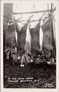 Prince George BC Three Day Hunt Deer Hunting c1940 I.A. Guest RPPC Postcard H52