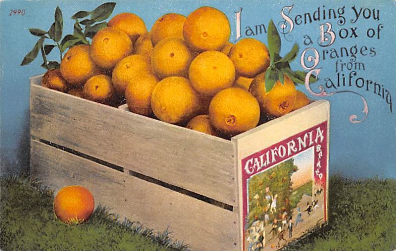 Box of Oranges Florida, USA Fruit Assorted Unused 