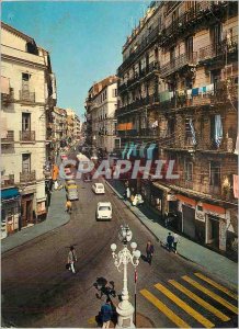 Postcard Modern White Algiers The Bad El Oued