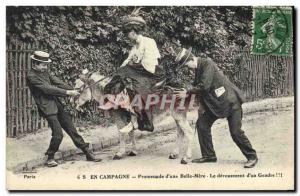 Old Postcard Donkey Mule Walk d & # 39A beautiful mother's dedication to & # ...