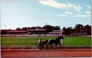 Postcard NY Saratoga Springs Harness Sulky race training Saratoga Raceway