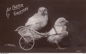RP: EASTER Chicks , 00-10s