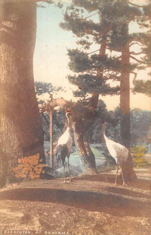 Okayama Japan Korakuyen Crane Birds Antique Postcard K107423