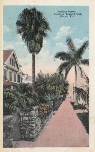 MIAMI, Florida, 1900-10s; Twelth Street, Looking Toward Bay