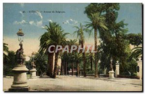 Hyeres Old Postcard Avenue of Belgium