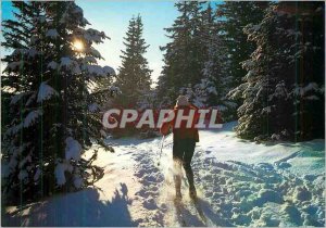 Postcard Modern Walk in Forest Ski