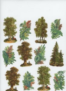 1880's Victorian Plants Trees & Lot Victorian DIe Cut Trade Card x730E
