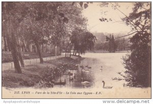 France Lyon Parc de la Tete d'Or Le Coin aux Cygnes