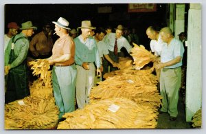 Farming~The Tobacco Auctioneer Scene In Tobaccoland~1950s Postcard