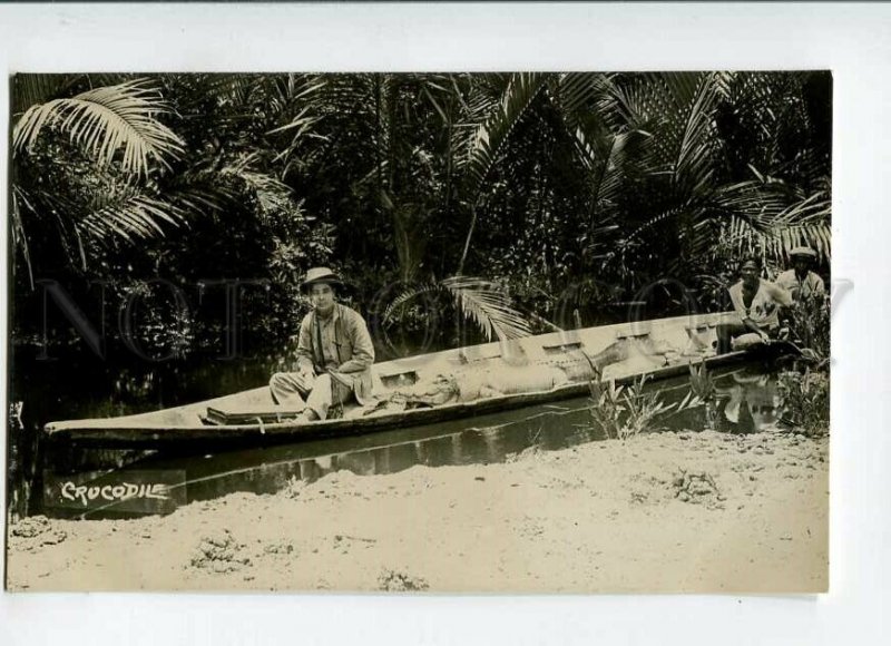 3151554 INDONESIA Borneo CROCODILE in Boat Vintage photo PC