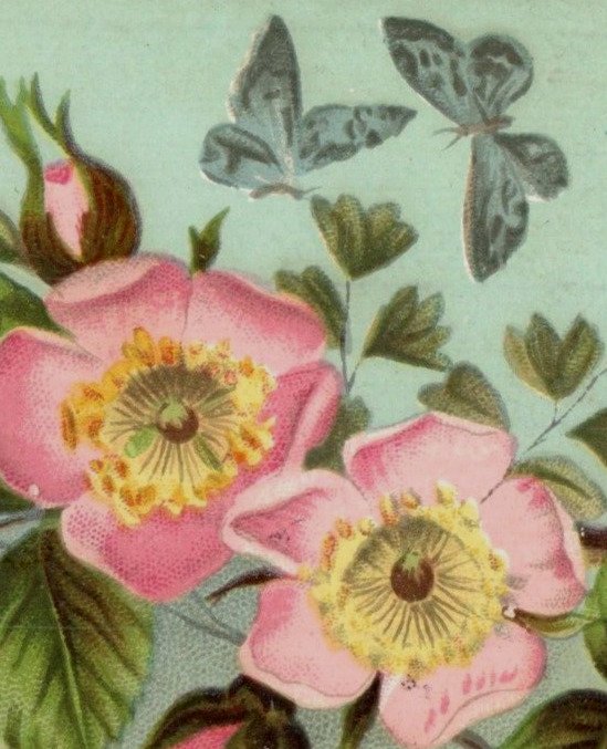 1883 Victorian Easter Card Butterflies Moths Pink Blossoms F129