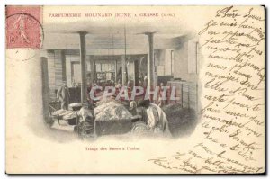 Postcard Collection Old roses Triage l & # 39usine Parfumerie Molinard Jeune ...