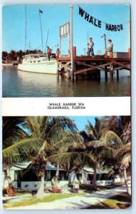 ISLAMORADA, Florida FL ~ Roadside WHALE HARBOR SPA c1960s Al Luckey Postcard