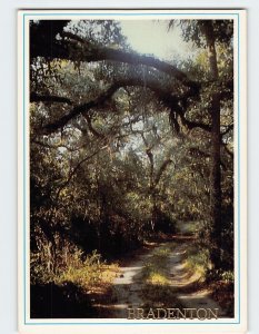 Postcard Peaceful Florida Trail, Bradenton, Florida