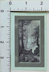 Farmer Livermore & Co Engraving Goff's Dressmaker Braid Forest Scene Trees F72