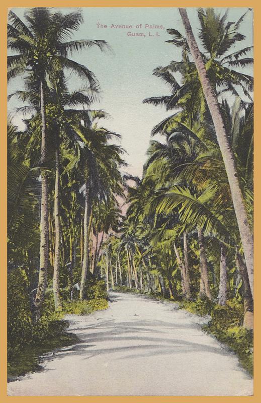 The Avenue of Palms, Guam, L.I., - 1909