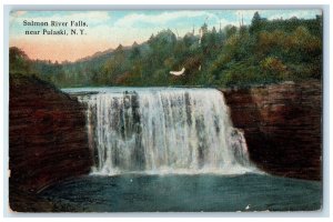 c1910 Salmon River Falls Near Pulaski New York NY Antique Unposted Postcard 