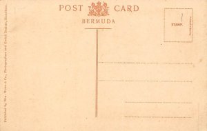 Joyce's Dock Cave Bermuda Postcard