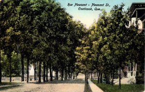 Coaticook, Quebec, Canada - Tree-lined Rue Pleasant - Pleasant St. - c1908