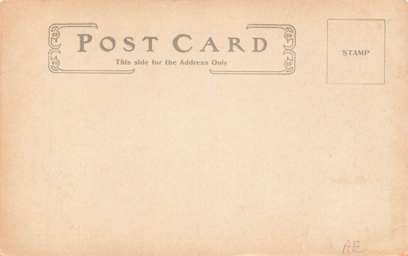 Buchan's Soaps Advertising Roosevelt Bear 1907 Postcard