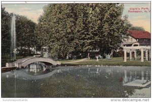 New York Rochester View In Clark's Park 1911