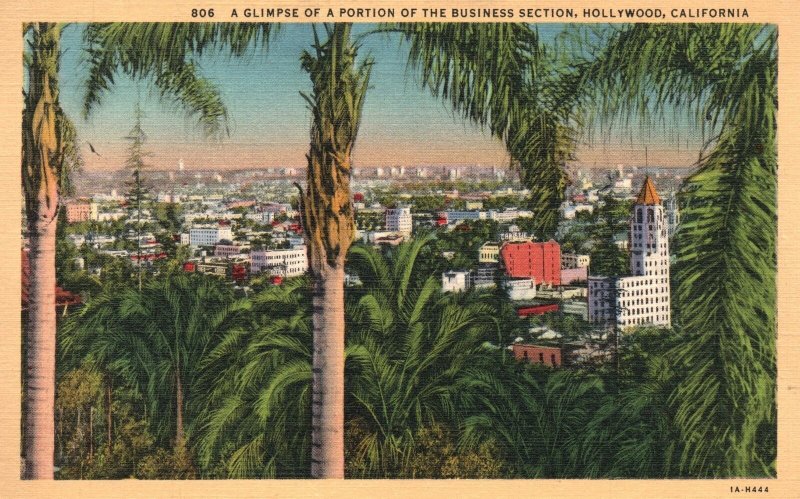 Vintage Postcard A Glimpse of a Portion of Business Section Hollywood California