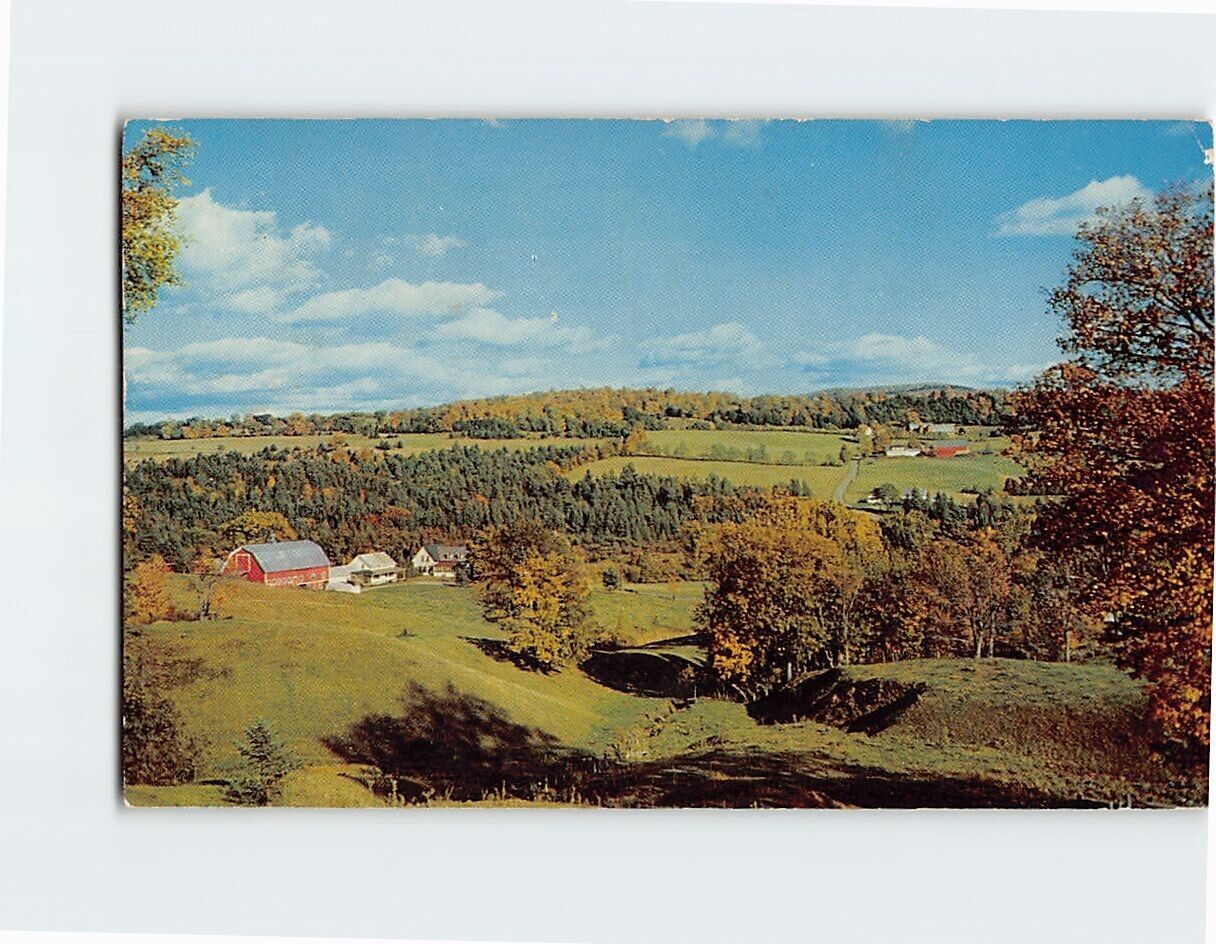 Postcard Green Pastures, Restaurant & Motel L'Oasis StRoch des