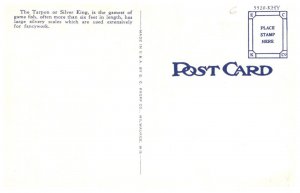 Florida   Catching a  Tarpon