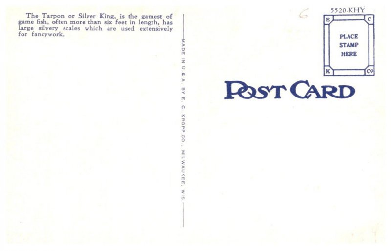 Florida   Catching a  Tarpon