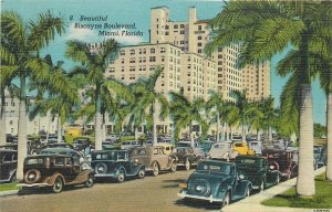 Postcard 1930s  Florida Miami Biscayne Boulevard autos Colorpicture 23-13402