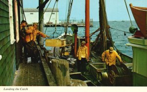 Vintage Postcard Fisherman Landing The Catch Cape Cod Massachusetts Bromley Pub.