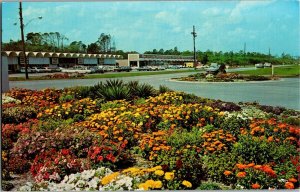 Shopping Center on Jekyll Island, GA Vintage Postcard A62