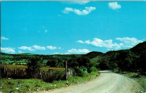 Central Texas River Anscochrome Don Bartels Dexter Press Hills Postcard Vintage 