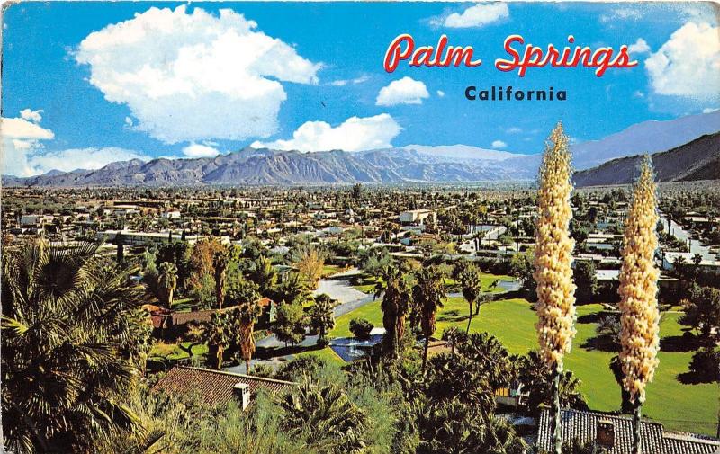 B32336 Palm Springs California    usa