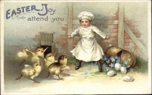 Easter Int'l Art Little Boy Chef Assaulted by Chicks c1910 Vintage Postcard