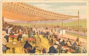 Linen TIJUANA MEXICO BC MEXICO Race Track 472 postcard