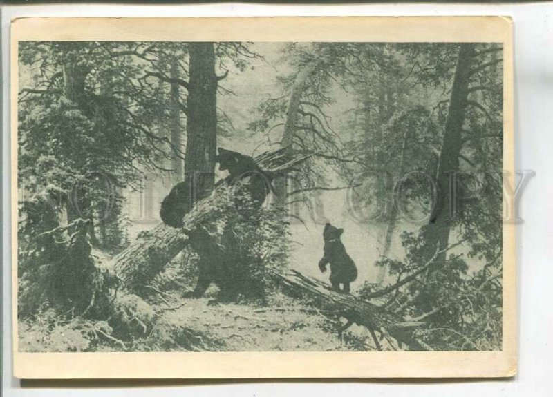 480919 USSR 1948 year Landscape SHISHKIN Morning in a pine forest bears postcard