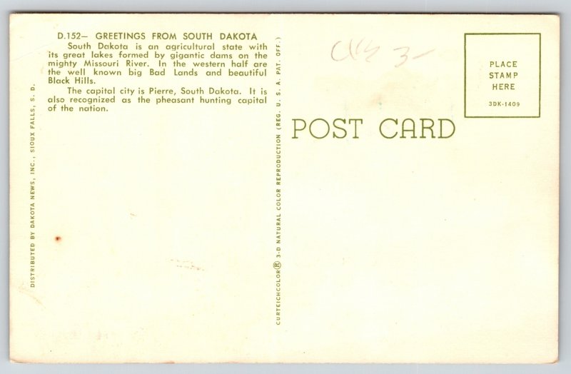 South Dakota~Green & Yellow Background~Large Letter Linen~Vintage Postcard