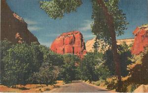 Union Pacific Railroad Picture in Zion National Park, UT, Utah, Linen