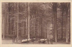 Belgium Tervuren Le Parc Les Pierres druidiques 1925