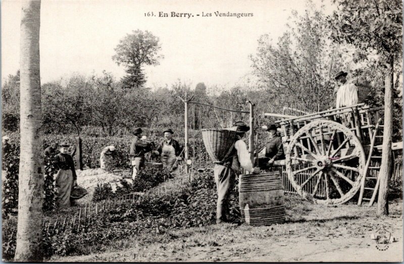 Postcard France En Berry - Les Vendangeurs