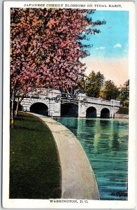 VINTAGE POSTCARD CHERRY BLOSSOMS AT D.C. SPECIAL POSTMARK CANCEL MILITARY CAMPS