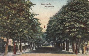 Postcard Promenade Cheltenham UK
