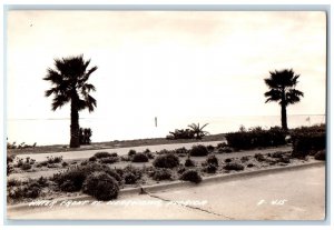 c1940's Water Front At Clearwater Florida FL Vintage RPPC Photo Postcard