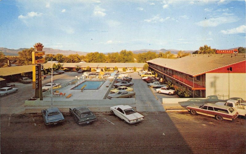 Hawthorne Nevada 1960s Postcard El Capitan Lodge Motel Swimming Pool