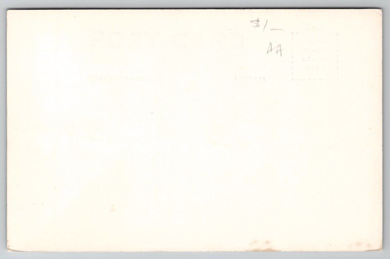 Washington State Capitol Building Olympia WA Postcard M36