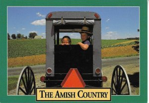Greetings from The Amis Country  Modern American Greetings photo postcard