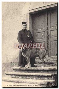 Old Postcard Dog Dogs Samaritans Great St Bernard